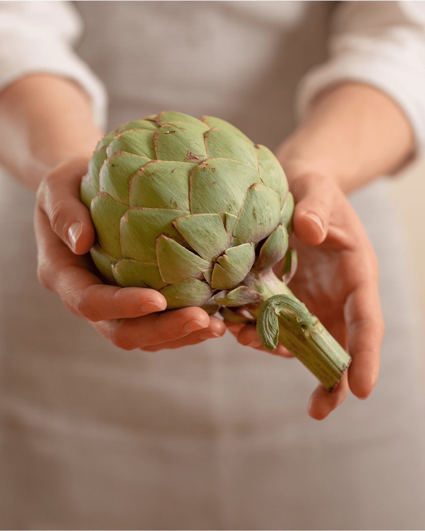 TAGLIATELLE AI CARCIOFI - PASTA ALL'UOVO