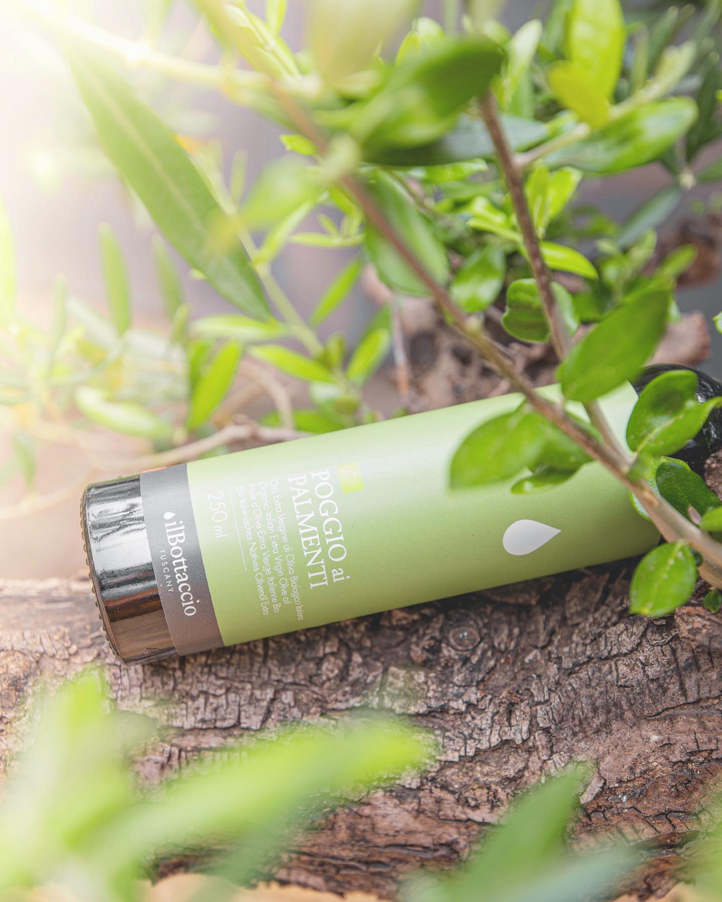 OLIO EXTRAVERGINE POGGIO AI PALMENTI BIO