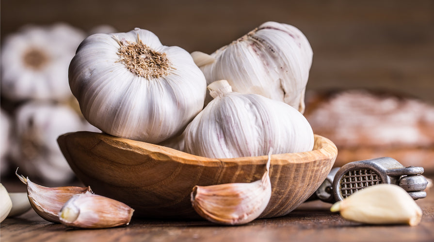 OLIO EXTRAVERGINE DI OLIVA ALL'AGLIO