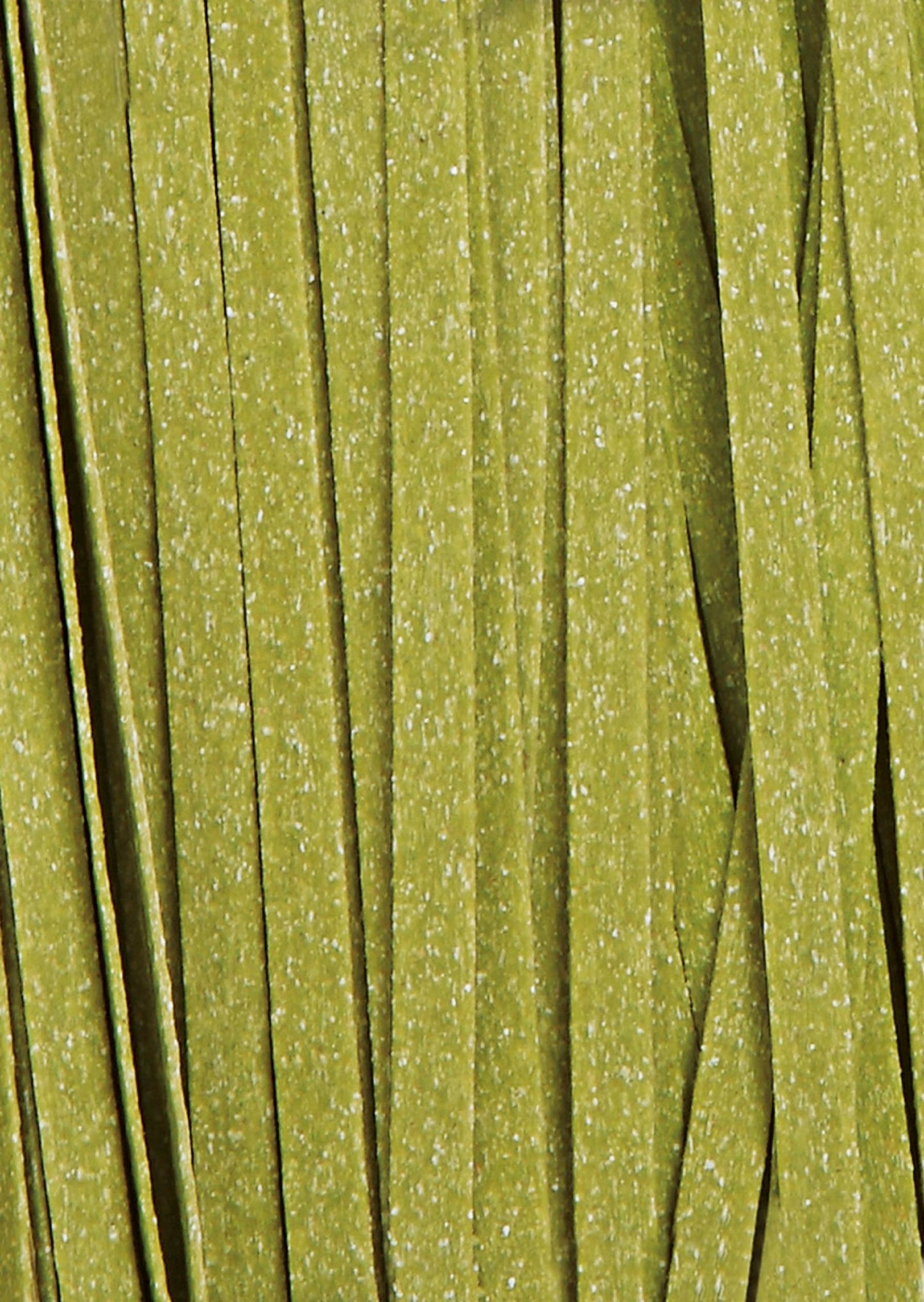 TAGLIATELLE AGLI SPINACI - PASTA ALL'UOVO